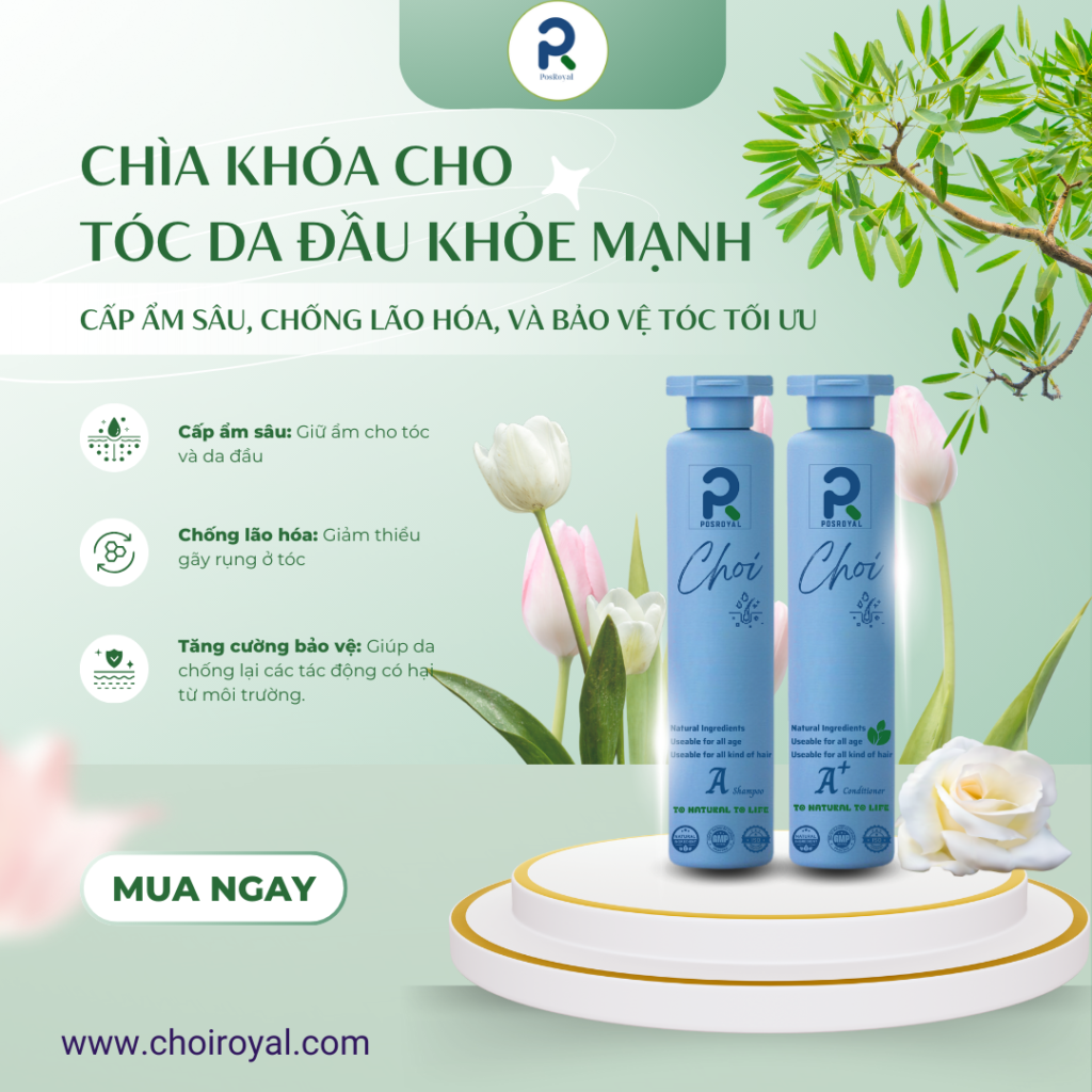 Sản phẩm chăm sóc tóc Choi