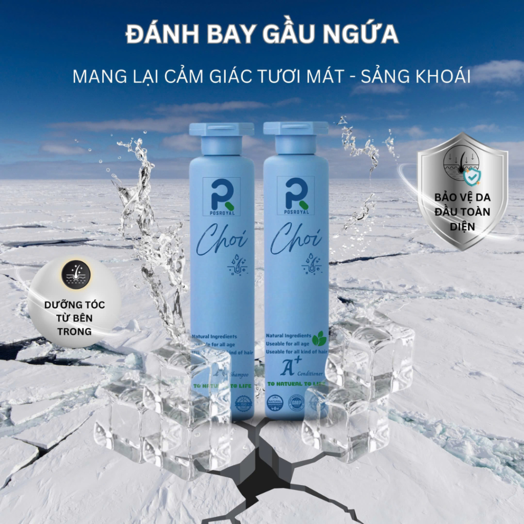 Dầu gội xả Choi